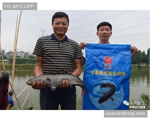 专访周磊：深入探讨篮球领域成功的秘诀与经验分享