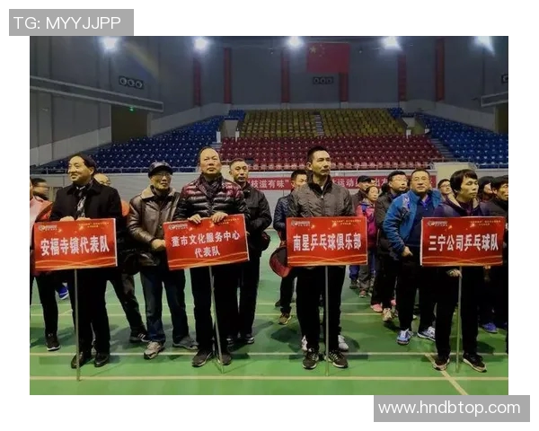 南京乒乓球队区域防守革新探索与实践的深度解析与展望 南京乒乓球队区域防守革新探索与实践的深度解析与展望