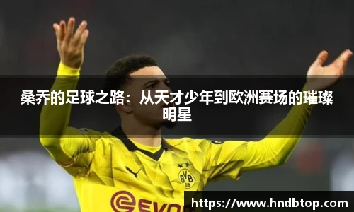 NG体育官方网站