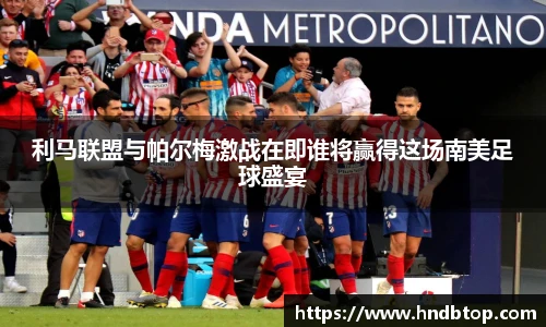 利马联盟与帕尔梅激战在即谁将赢得这场南美足球盛宴
